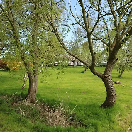Birkelygaard